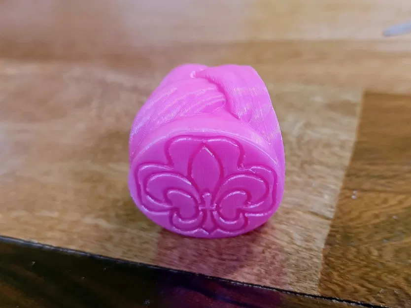 Vòng khăn quàng cổ VCP Wagggs với biểu tượng fleur de lis và tre... - Image 10