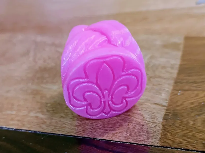 Vòng khăn quàng cổ VCP Wagggs với biểu tượng fleur de lis và tre... - Image 11