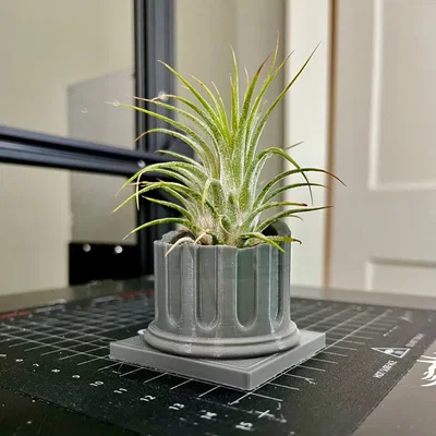 Chậu hoa cột gãy nhỏ