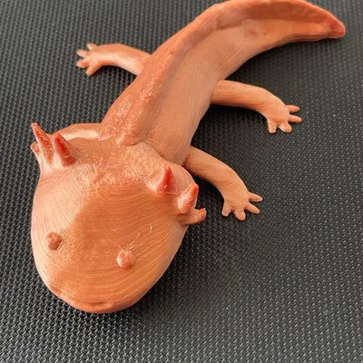 Mô hình Axolotl 3D chi tiết cho in 3D