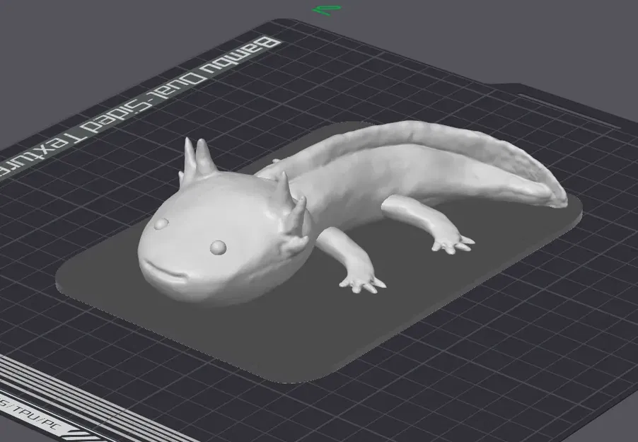 Mô hình Axolotl 3D chi tiết cho in 3D - Image 3