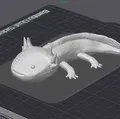Mô hình Axolotl 3D chi tiết cho in 3D - Thumbnail 3
