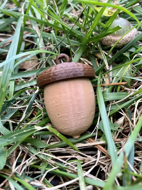 Bình đựng ốc vít hình quả acorn treo tiện lợi - Image 1