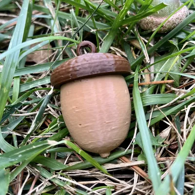 Bình đựng ốc vít hình quả acorn treo tiện lợi