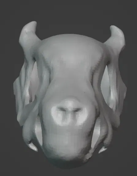 Đầu của rồng con đáng yêu - Image 1