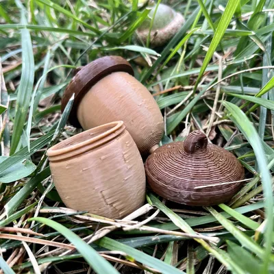 Bình đựng ốc vít hình quả acorn treo tiện lợi