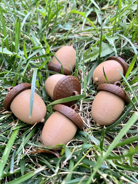 Bình đựng ốc vít hình quả acorn treo tiện lợi - Image 3