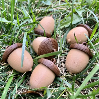 Bình đựng ốc vít hình quả acorn treo tiện lợi