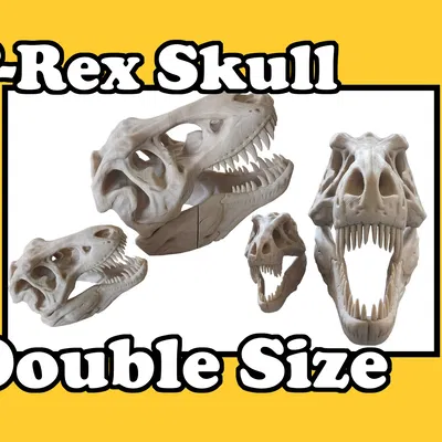 Đầu lâu T-Rex kích thước gấp đôi