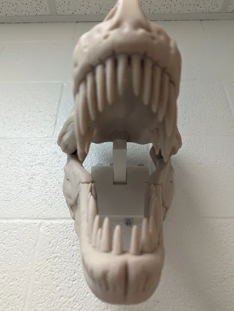 Giá đỡ tường cho hộp sọ T-Rex kích thước lớn gấp đôi - Image 1