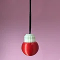 Phụ kiện dây thừng và dây paracord đa năng - Thumbnail 3