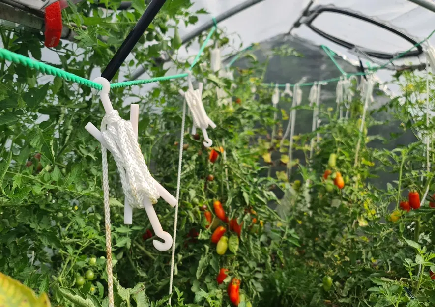 Móc treo cà chua cho nhà kính - Image 1