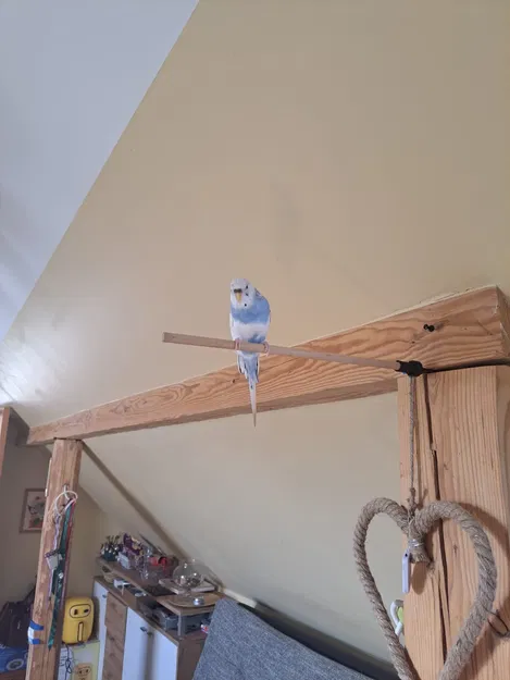 Giá đỡ cho chim vẹt thích hợp với thanh 10mm - Image 2