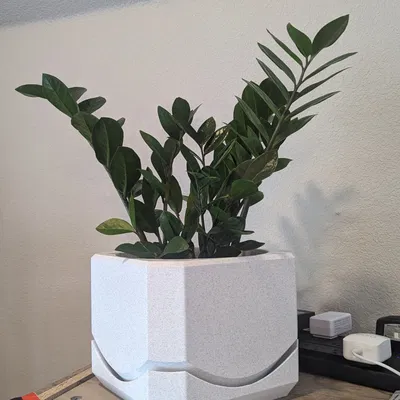 Chậu cây vuông nội thất với hệ thống thoát nước tích hợp