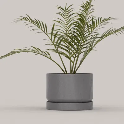 Bộ 21 chậu cây với đế tích hợp cho không gian sống