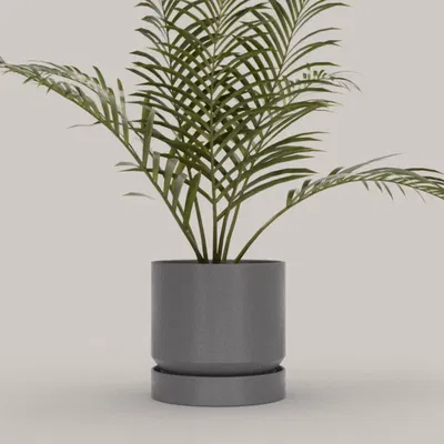 Bộ 21 chậu cây với đế tích hợp cho không gian sống