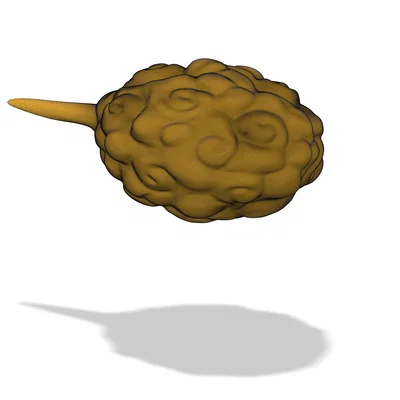 Đám mây nimbus bay trong Dragon Ball