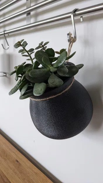 Chậu hoa treo đơn giản với dây thừng - Image 1