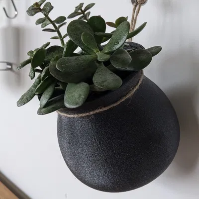 Chậu hoa treo đơn giản với dây thừng