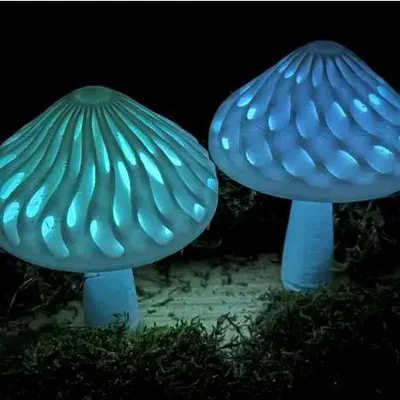 Nắp Nấm Modular 2 Màu (Glow-in-the-Dark)