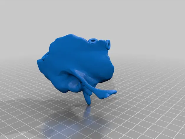 Mô hình đầu người 18 mảnh chính xác về mặt giải phẫu - Image 24