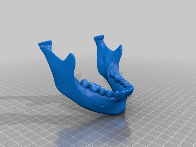 Mô hình đầu người 18 mảnh chính xác về mặt giải phẫu - Image 26