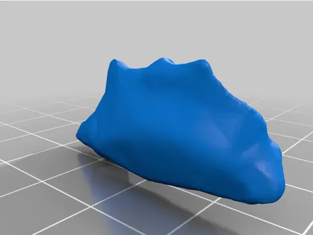 Mô hình đầu người 18 mảnh chính xác về mặt giải phẫu - Image 32