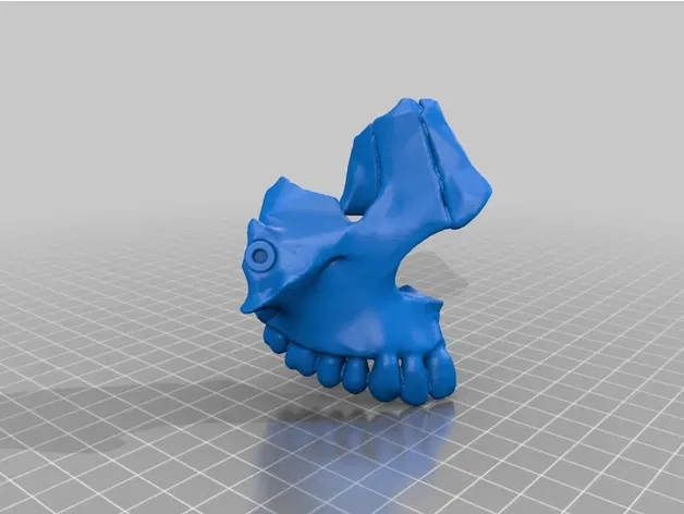 Mô hình đầu người 18 mảnh chính xác về mặt giải phẫu - Image 34