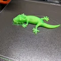 Tay cầm gecko cho cửa lưới trượt - Thumbnail 2