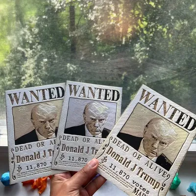 Áp phích Wanted của Trump - Lấy cảm hứng từ One Piece