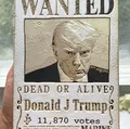 Áp phích Wanted của Trump - Lấy cảm hứng từ One Piece - Thumbnail 2