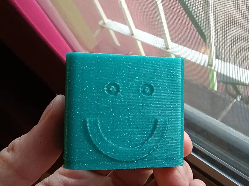 Chậu cây xương rồng mặt cười - Image 1