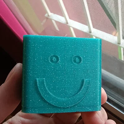 Chậu cây xương rồng mặt cười