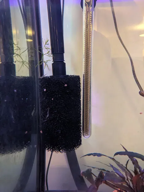 Bộ chuyển đổi hút Fluval FX4 cho bông lọc tiền lớn Aquarium Coop - Image 1