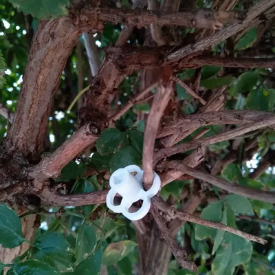 Núm vòi nước vườn nhỏ có thể tháo rời cho chốt vuông 6mm