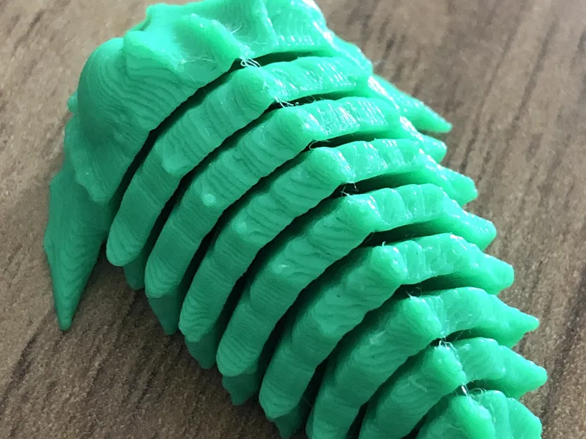 Mô hình hóa học về động vật hóa thạch Trilobite - Image 2