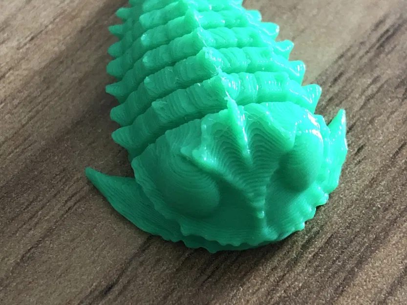 Mô hình hóa học về động vật hóa thạch Trilobite - Image 3