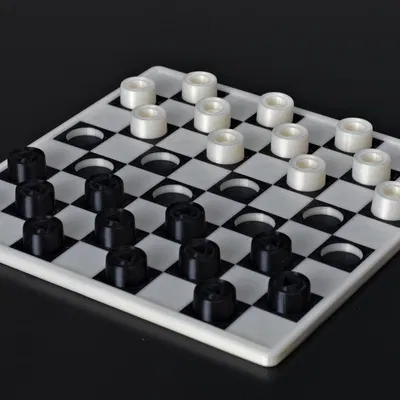 Cờ vua xúc giác dành cho người khiếm thị