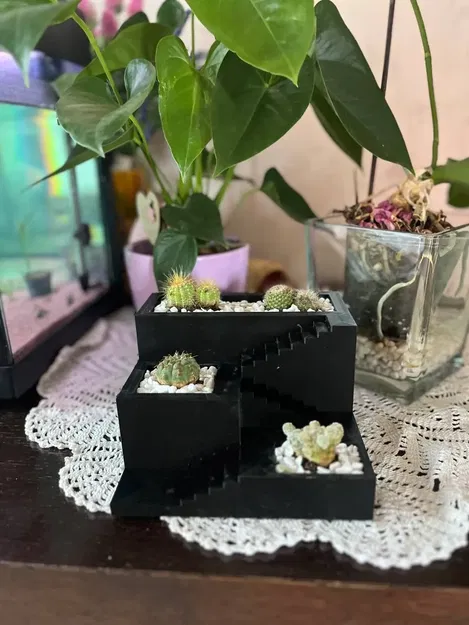 Chậu cây xương rồng và succulent in 3D nhỏ gọn - Image 1