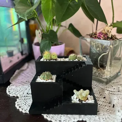 Chậu cây xương rồng và succulent in 3D nhỏ gọn