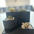 Chậu cây xương rồng và succulent in 3D nhỏ gọn - Thumbnail 5
