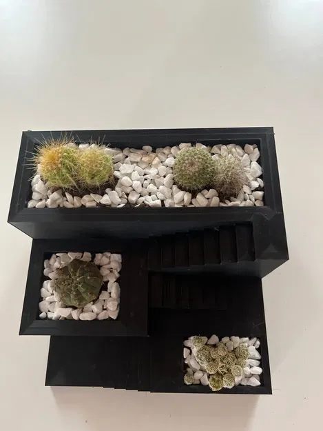 Chậu cây xương rồng và succulent in 3D nhỏ gọn - Image 6