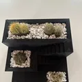 Chậu cây xương rồng và succulent in 3D nhỏ gọn - Thumbnail 6