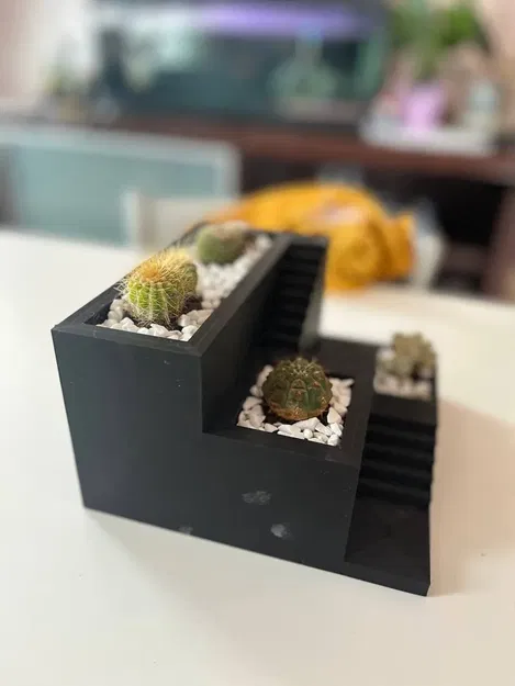 Chậu cây xương rồng và succulent in 3D nhỏ gọn - Image 9