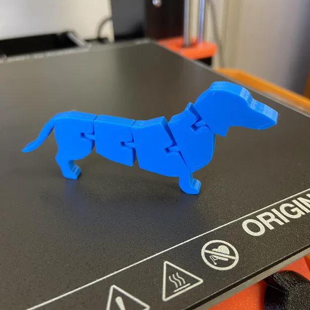 Chó dachshund linh hoạt có khớp nối - Image 1