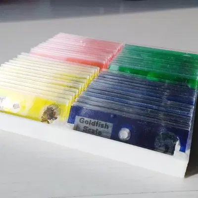 Giá đỡ trượt tùy chỉnh cho kính hiển vi