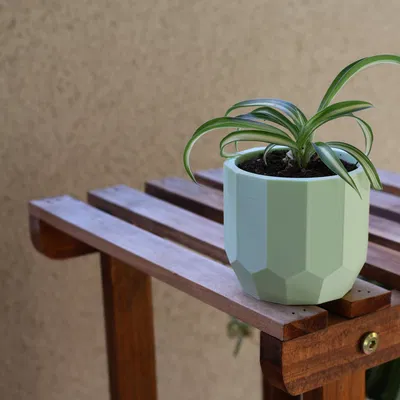 Chậu cây gốm Chic với lỗ thoát nước