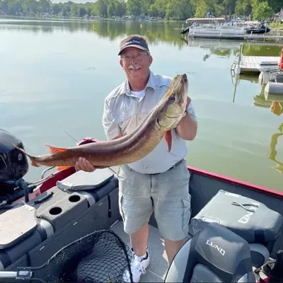 Người đàn ông cá độc đáo cho bạn bè