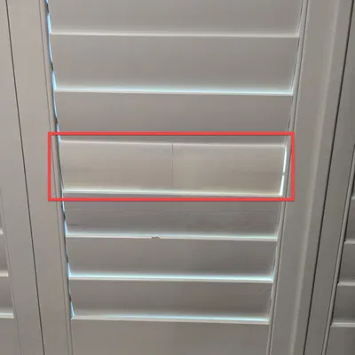 Cửa chớp trồng cây cho ngôi nhà của bạn