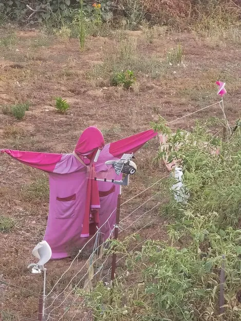 Bù nhìn năng lượng mặt trời chống lại chim - Image 2